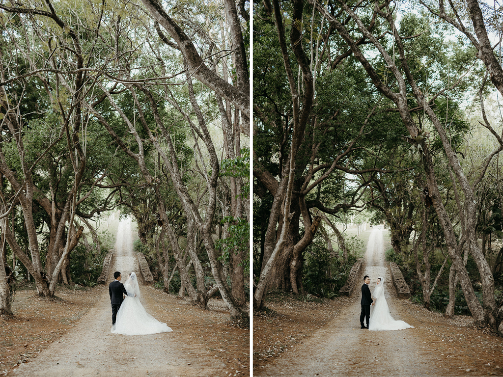  Byron Bay Wedding Photo