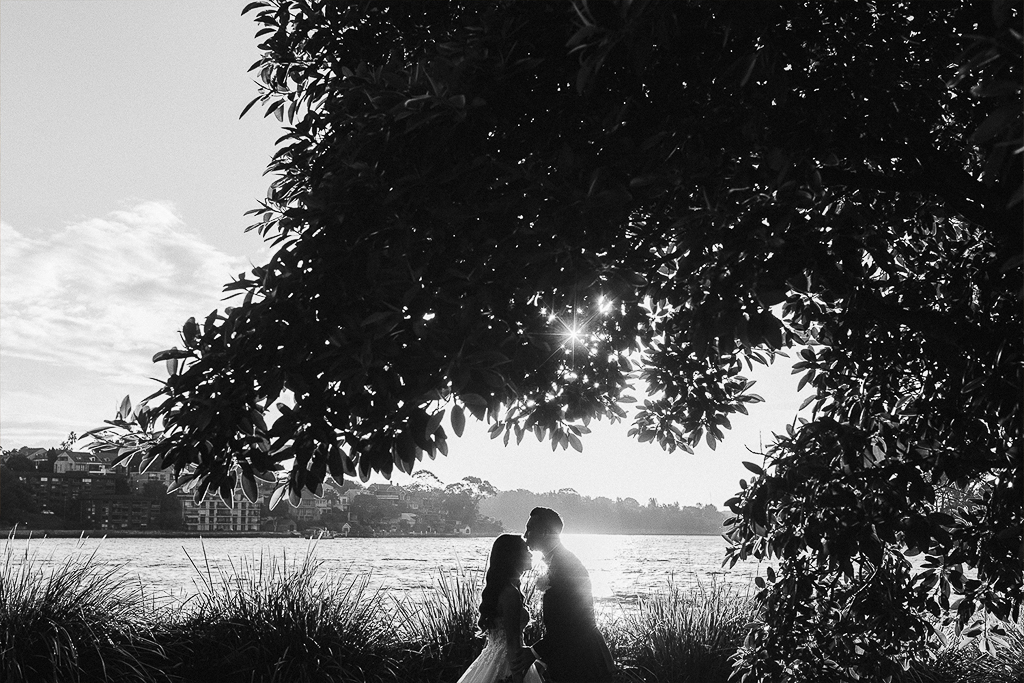 12-Micron Wedding Photo